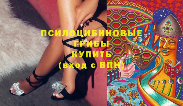 индика Лихославль