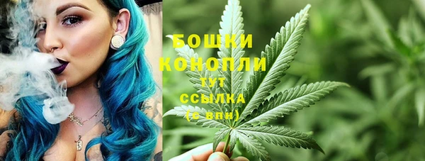 индика Лихославль
