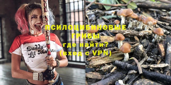 spice Лиски
