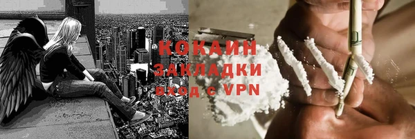 индика Лихославль