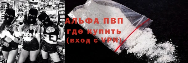 индика Лихославль