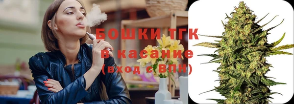 индика Лихославль