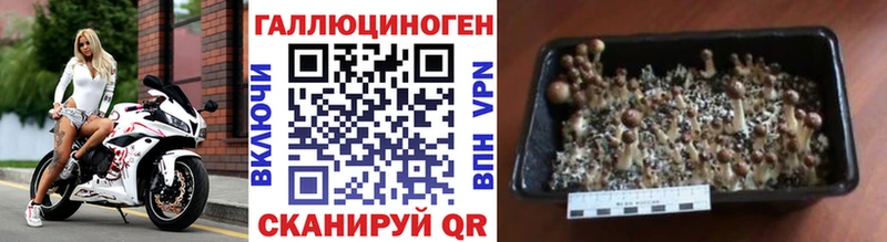 наркота  Сычёвка  Псилоцибиновые грибы ЛСД 